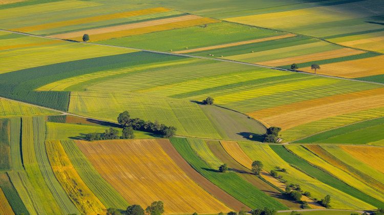 Terenurile agricole – bogăția Moldovei – tentante pentru azeri. Vor să le închirieze pentru cultivarea cerealelor