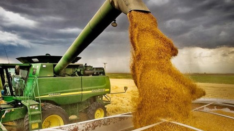 Republica Moldova pe cale să devină grânarul Europei. A exportat cereale în sumă de 133 mil. USD