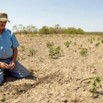 Capcana obligațiunilor pentru agricultori. Milionul promis devine 800.000