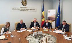 Banca Mondială va oferi sprijin suplimentar pentru agricultura din Republica Moldova. Discuții cu MAIA