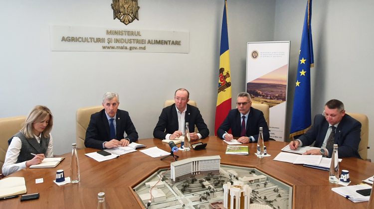 Banca Mondială va oferi sprijin suplimentar pentru agricultura din Republica Moldova. Discuții cu MAIA