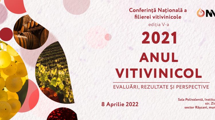 „Anul vitivinicol 2021: evaluări, rezultate și perspective”. 434 mln lei – investițiile în viticultură și vinificație
