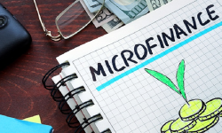 Rechinii de la microfinanțare au dat lovitura! Profituri uriașe în anul 2021. Cine controlează piața