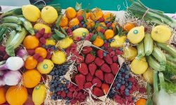 (FOTO) Antreprenorii din Republica Moldova participă la un eveniment dedicat producătorilor de fructe și legume