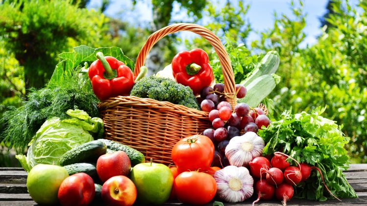 MAIA: Noi condiții de export spre Turcia pentru fructe și legume