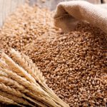 Fermierii cer socoteală Guvernului pentru tranzitul cerealelor din Ucraina: Ne pomenim cu blocajul exporturilor noastre
