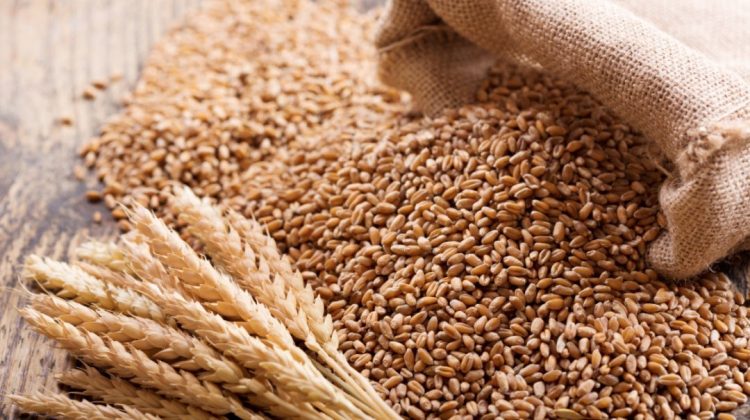 Ucraina a impus restricții la exporturile de cereale spre România și Republica Moldova