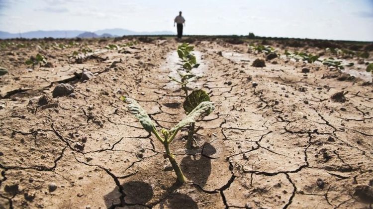 Moldova cu apeducte sufocată de secetă. Doar jumătate din localitățile țării au apă