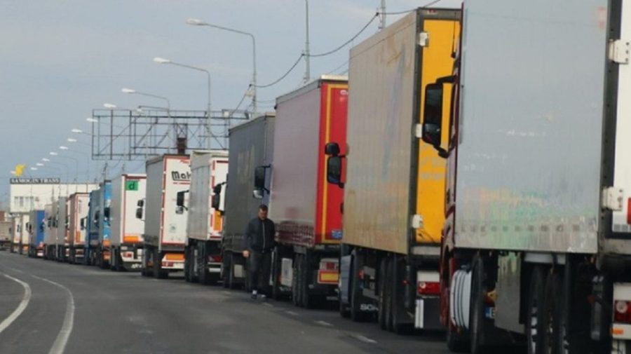 VIDEO Fluidizarea traficului de camioane la vamă: România suplimentează numărul angajaților sanitar-veterinari la vămi