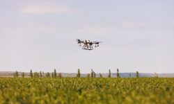 (VIDEO) Tot mai mulți agricultori din Republica Moldova utilizează dronele. Avantajele pe care le oferă