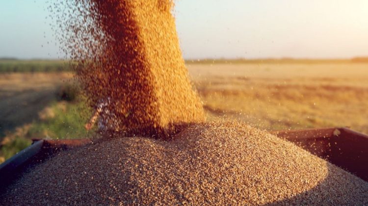 SUA promit bani vecinilor Ucrainei pentru facilitarea exportului de cereale: Eforturile României şi Moldovei, esenţiale