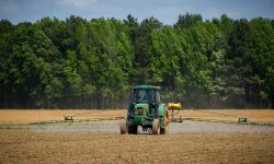 Latifundiarii Moldovei cu exporturi în paradisuri fiscale îi sufocă pe micii fermieri
