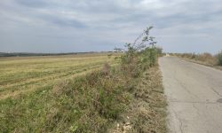 Primăria Chișinău scoate la licitație 11 terenuri. Prețurile încep de la 400 de mii de lei