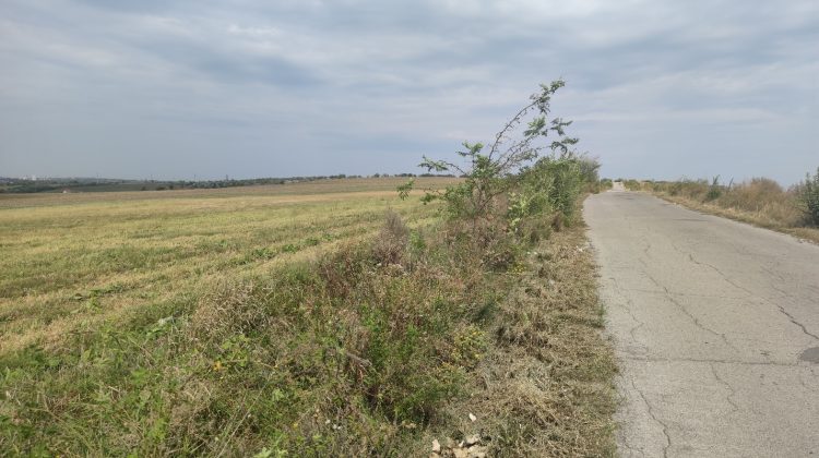 Primăria Chișinău scoate la licitație 11 terenuri. Prețurile încep de la 400 de mii de lei