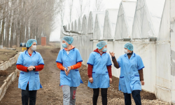 Proiect de integrare în câmpul muncii a refugiaților ucraineni, lansat în Republica Moldova