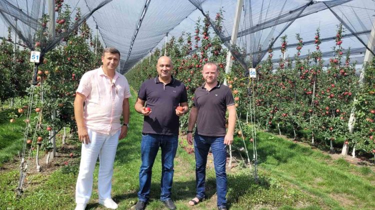 Fructele moldovenești vor fi exportate în Emiratele Arabe