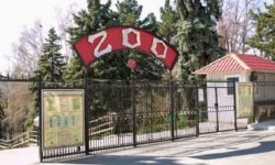 Căsuțe noi pentru animalele răpitoare mici de la Grădina Zoologică din Chișinău