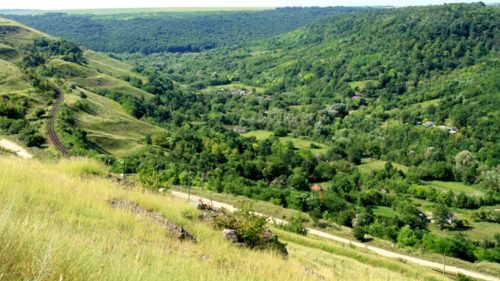 Moldova, în topul rușinii verzi din Europa: doar 12% din teritoriu mai este acoperit de păduri