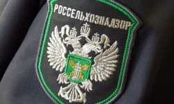 „Lista neagră” a Rusiei împarte Moldova. Mai multe raioane ale țării au interdicție la exportul producției vegetale