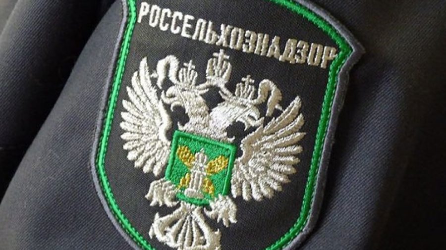 „Lista neagră” a Rusiei împarte Moldova. Mai multe raioane ale țării au interdicție la exportul producției vegetale