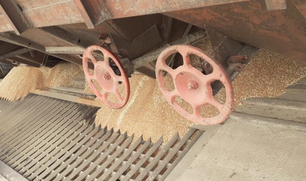Bătălie pentru șine! Fermierii moldoveni cer prioritate în fața cerealelor ucrainene