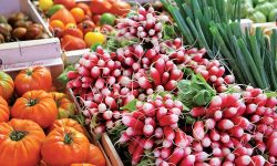 Câte fructe și legume au exportat fermierii moldoveni în UE în jumătate de an