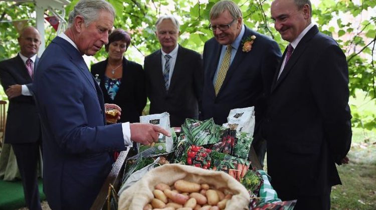 Afacerea din care Regele Charles al III-lea a făcut milioane de dolari