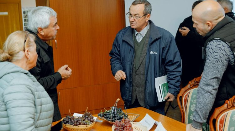 Agricultorii moldoveni trebuie să-și diversifice soiurile de struguri pentru a cuceri piața internațională