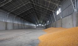 Cerealele ucrainene ar putea fi transportate pe rute terestre din România