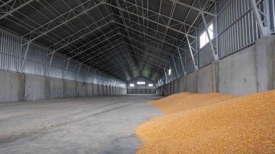 Cerealele ucrainene ar putea fi transportate pe rute terestre din România