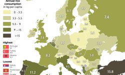 Cât orez consumă moldovenii comparativ cu europenii