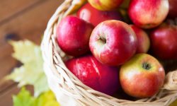 Producția de mere în Moldova a scăzut cu 40% în acest an