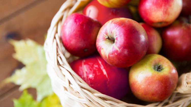 Producția de mere în Moldova a scăzut cu 40% în acest an