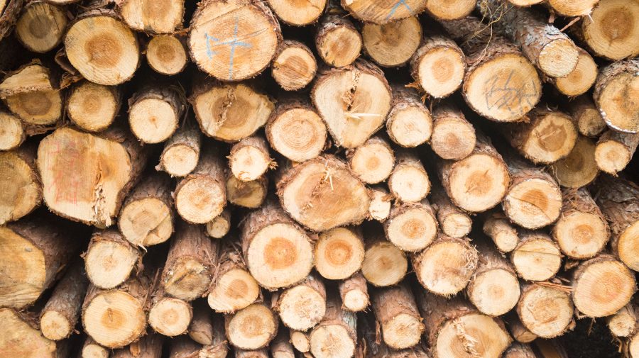 (VIDEO) România oferă Republicii Moldova 200 de mii de metri steri de lemn pentru încălzire