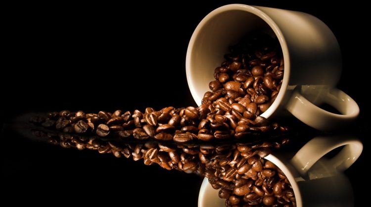 Criza cafelei. Schimbările climatice vor reduce terenurile disponibile pentru producţia de cafea cu peste 50% 