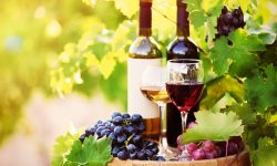 (FOTO) Trei vinuri din Republica Moldova s-au clasat în TOP 50 la un concurs mondial din Canada