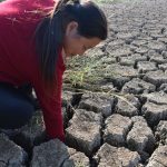 Fermierii loviți de seceta din 2025 ar putea primi ajutoare de 50 de milioane lei