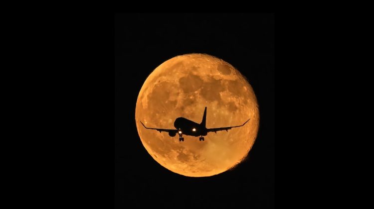 Avioanele unui fost ministru al Justiției au lăsat cel mai mult pasagerii „în aer”