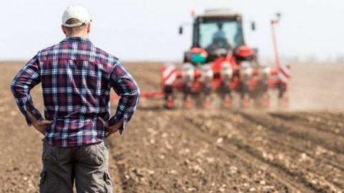 Fermierii strigă după ajutor – peste 658 milioane lei cerute de la buget