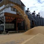 Războiul a închis porturile. Exporturile de grâu ale Ucrainei s-au redus cu 25%