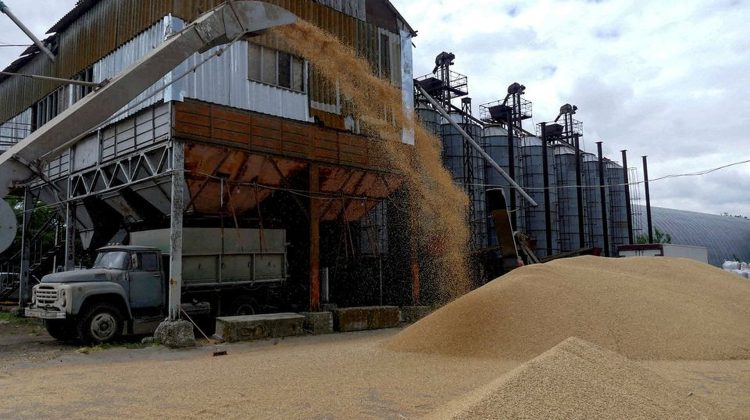 Polonia interzice importurile de cereale şi alte produse alimentare din Ucraina. „De la cereale la miere”