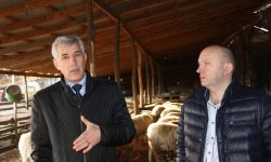 Scripinic a luat berbecul de coarne la Căușeni: Agenții economici pot miza pe suportul consultativ al autorităților