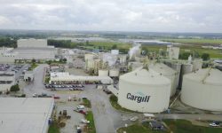 Grupul american Cargill va înceta să mai exporte cereale rusești
