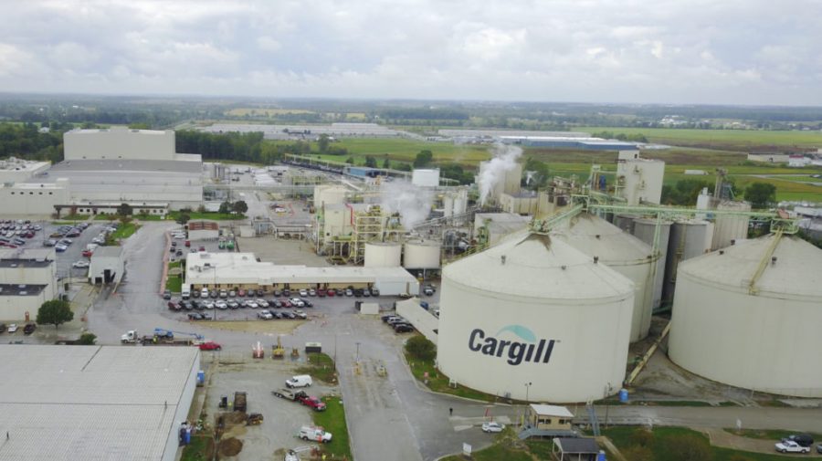 Grupul american Cargill va înceta să mai exporte cereale rusești