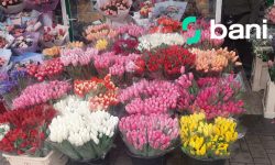 FOTO Prețul florilor în ajun de 8 martie. Ce au pregătit vânzătorii pentru femei