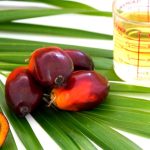 Palmierul ajunge în Parlament! Au fost acordate facilități la import pentru uleiuri exotice și sucuri concentrate