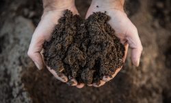 Fermierii pot solicita subvenții pentru îmbunătățirea calității solului