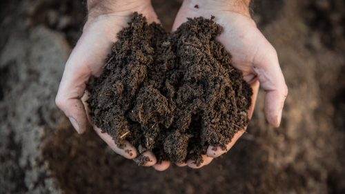 Subvenții cu țârâita? AIPA a plătit 600 de milioane de lei în ianuarie, dar datoriile către fermieri sunt de miliarde