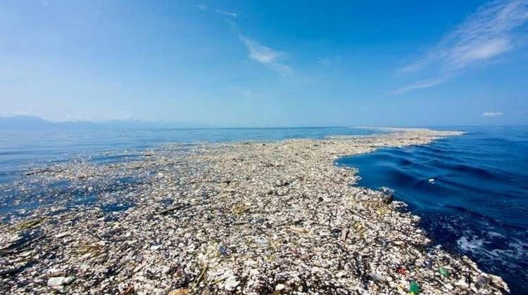 De trei ori mai mare decât Franța: O uriașă „insulă de gunoi” se află în apele Oceanului Pacific