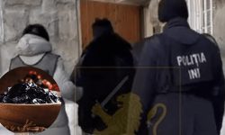 Dosarul escrocheriei cu prunele: Femeia care ar fi țepuit companiile din Nisporeni, condamnată în România